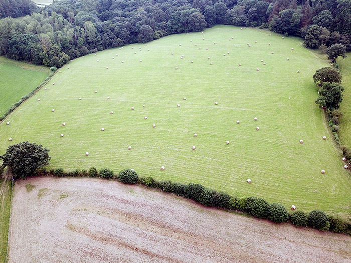 Drone aerial survey of fields